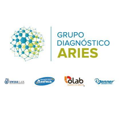 Project Manager – Grupo Diagnóstico Aries